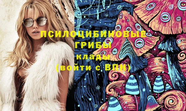 шишки Абдулино