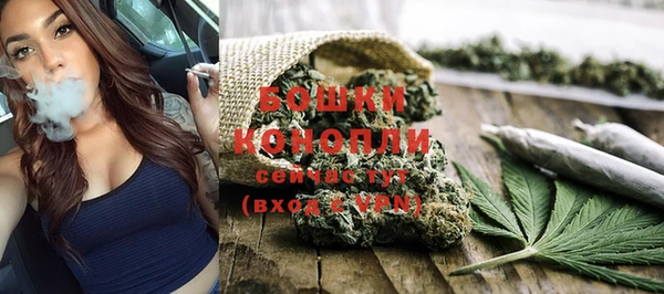 шишки Абдулино