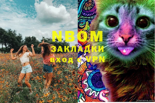 шишки Абдулино