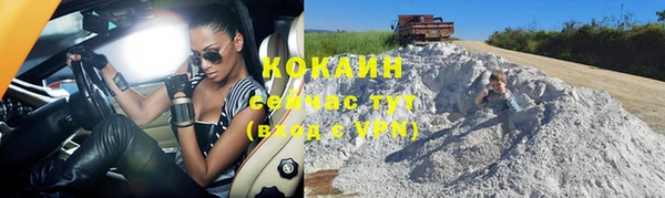 винт Абаза