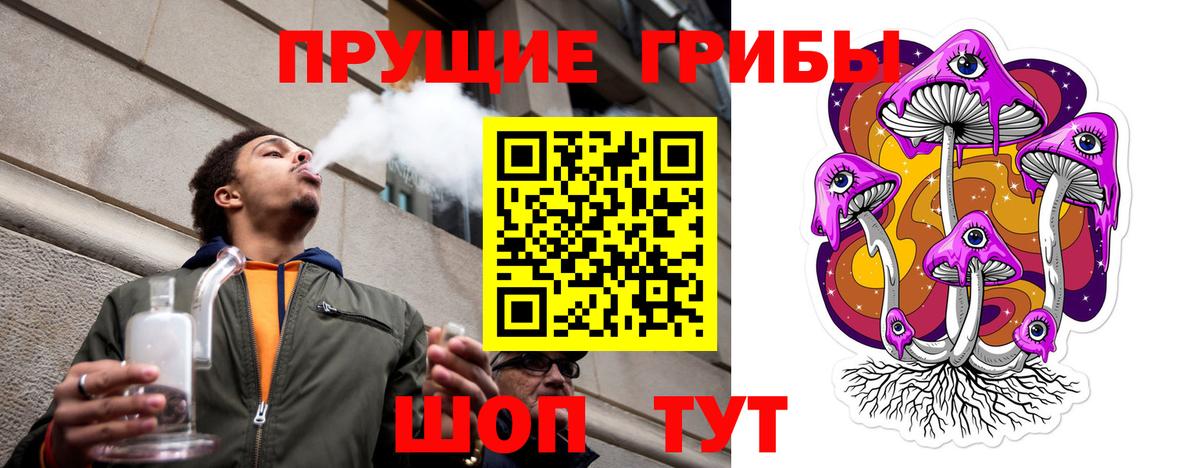 Норильск  Псилоцибиновые грибы Psilocybe  Вход с VPN 