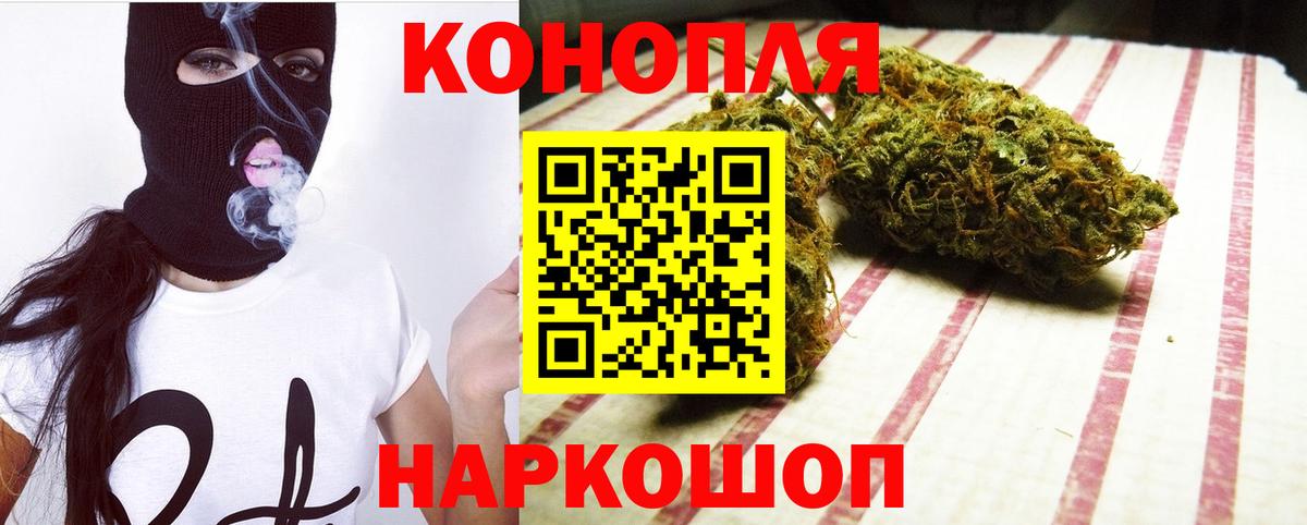 Канабис семена Норильск